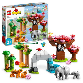 LEGO DUPLO - Wild Animals of Asia  - Voorkant Doos met Set