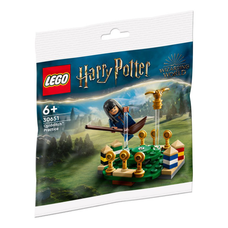 LEGO Harry Potter - Quidditch Practice 30651